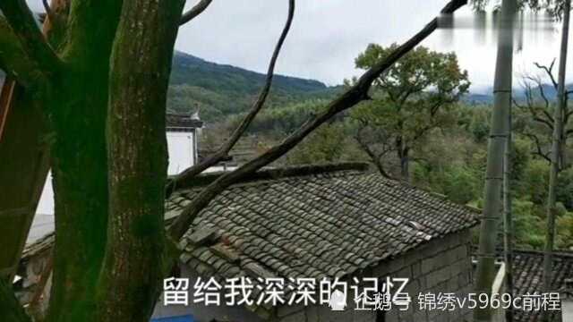 宏村镇塔川风景区