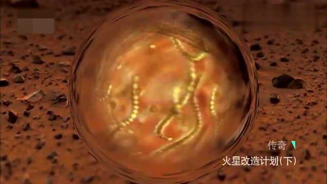 “凤凰号”火星登陆车出动,寻找生物最重要的氮元素,却一无所获