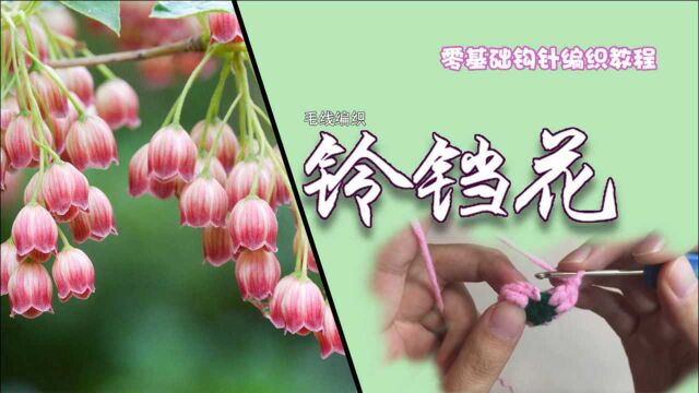 毛线编织小萌物,小巧玲珑的铃铛花,钩法简单,造型优美用处多