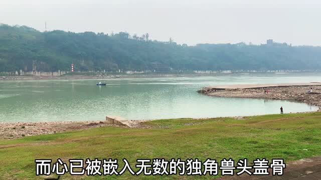 在泸州告别2020年,沽酒客有些话,需要说给这座城市听