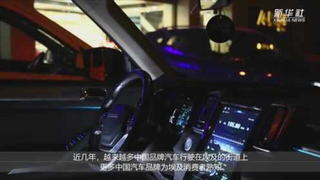 更多中国汽车品牌为埃及消费者熟知