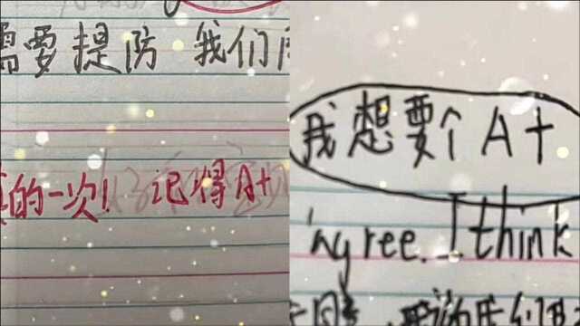 学生在作业结尾给老师留可爱“寄语” 老师贴心鼓励回应太温暖