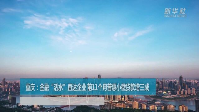 重庆:金融“活水”直达企业 前11个月普惠小微贷款增三成