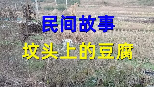 民间故事《坟头上的豆腐》当时我们邻村有个村子叫上楼村