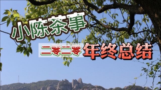 白茶、茶友、村姑陈,在即将过去的2020年,小陈茶事都做了什么?