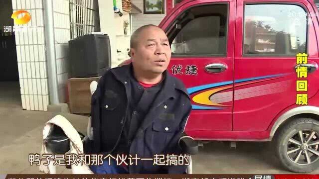 “无肢人”养的洋鸭滞销 “湖南好人”帮忙团购 大客户上门了!