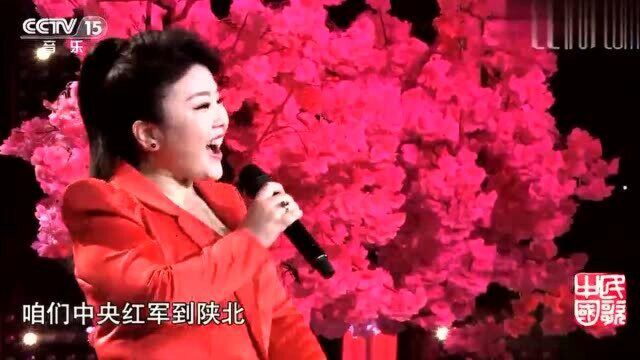 美女沙莎演唱《山丹丹开花红艳艳》经典歌曲,令人回味无穷!