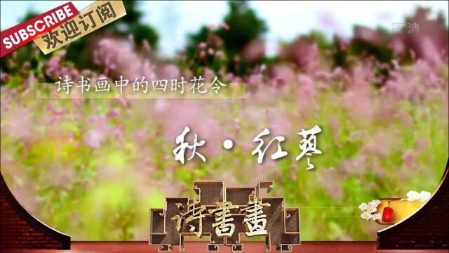 诗书画四时花令ⷧ狂𗧺⨓𜠲0201022