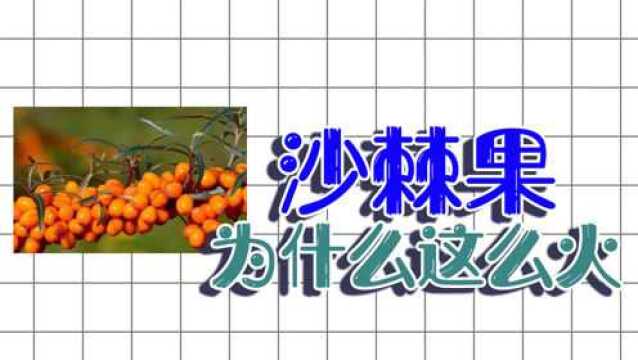 沙棘果这3个营养功效,从年轻人到老人,都受用