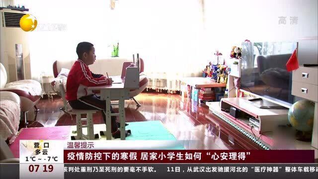 疫情防控下的寒假,居家小学生如何“心安理得”