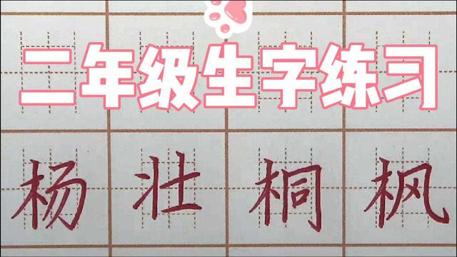 “木”偏旁会了吗?二年级生字:杨壮桐枫,硬笔书法写字楷书字帖