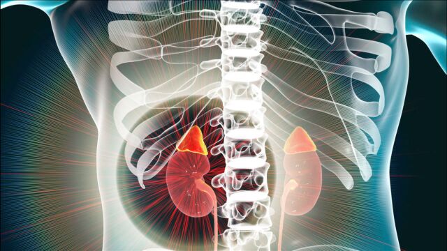 中国超2000万老人被肾病拖累!3个信号出现,提示肾脏有麻烦