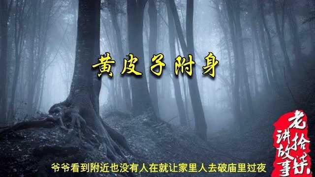 民间灵异故事之黄皮子附身,传说黄皮子能附在人身上