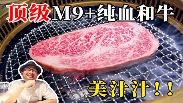 顶级M9+纯血和牛!3000元1千克的牛肉,到底有多好吃?