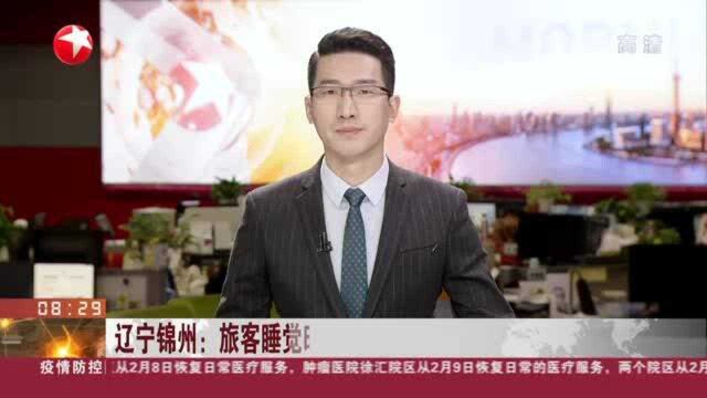 辽宁锦州:旅客睡觉时手机被盗 警方调取监控抓获嫌犯