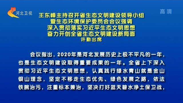 王东峰:奋力开创河北省生态文明建设新局面