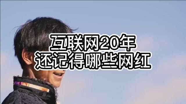 互联网20年,还记得哪些网红