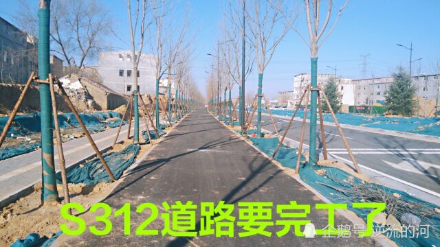 郑州段S312道路要完工了,绿化树都已经种上了,好期待