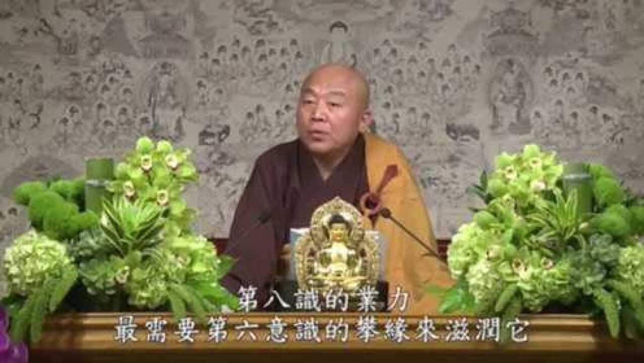 净界法师唯识学概要第十四集全33集