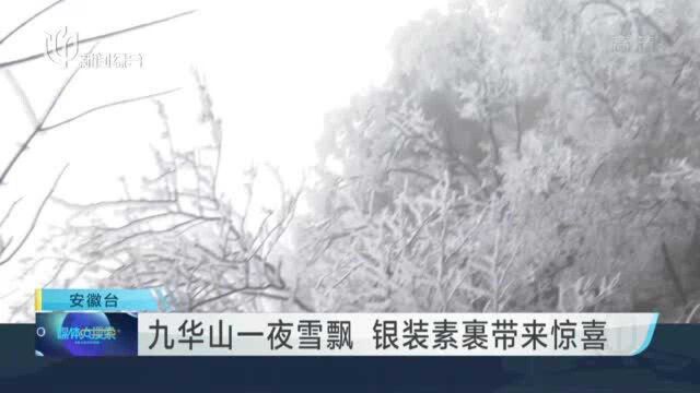 九华山一夜雪飘 银装素裹带来惊喜