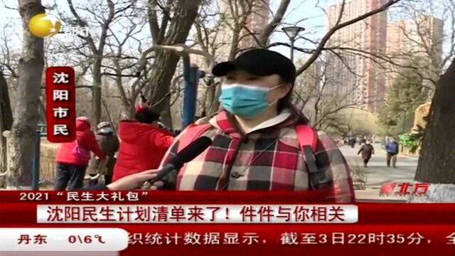 沈阳民生计划清单来了!件件与你相关