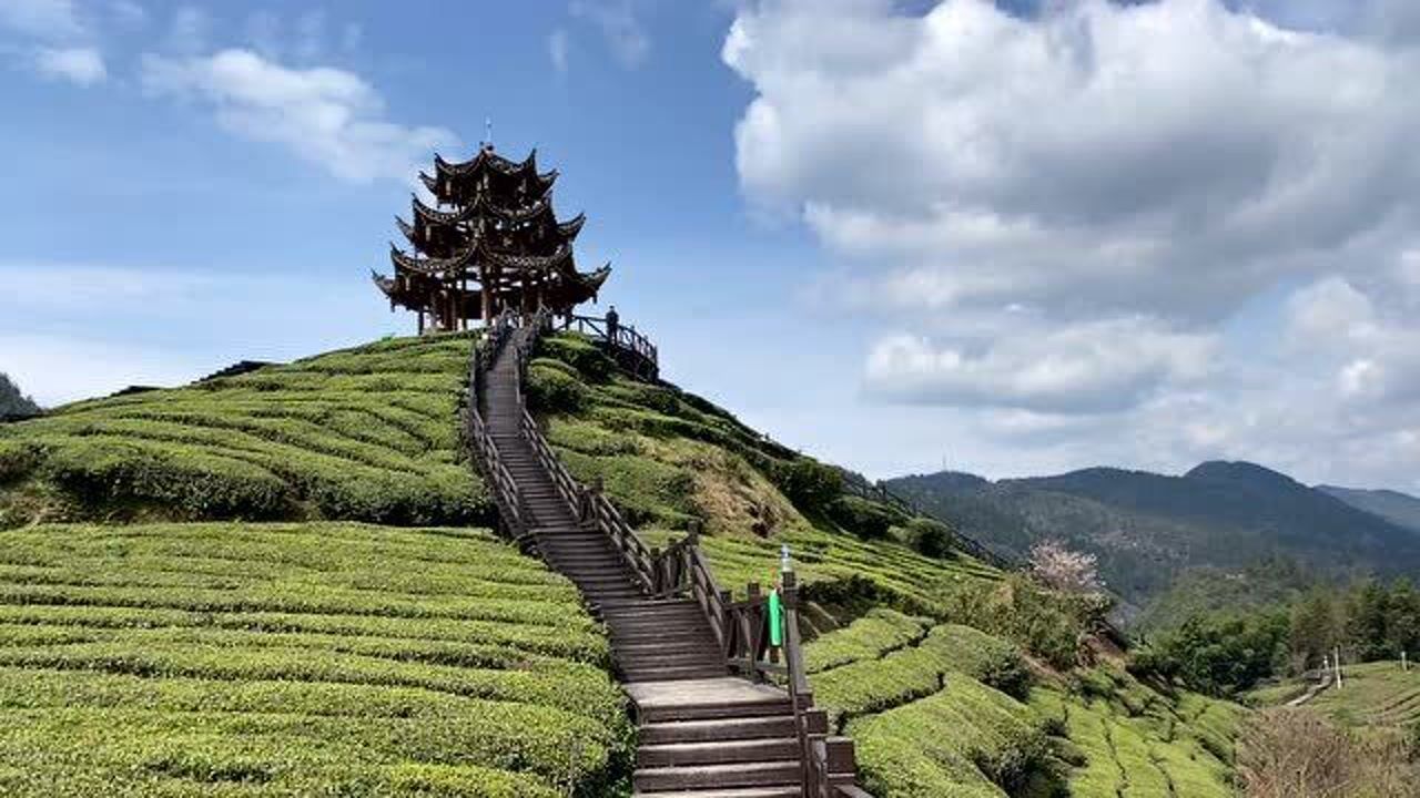 伍家台贡茶风景区核心景点之隆恩亭 高清1080P在线观看平台 腾讯视频