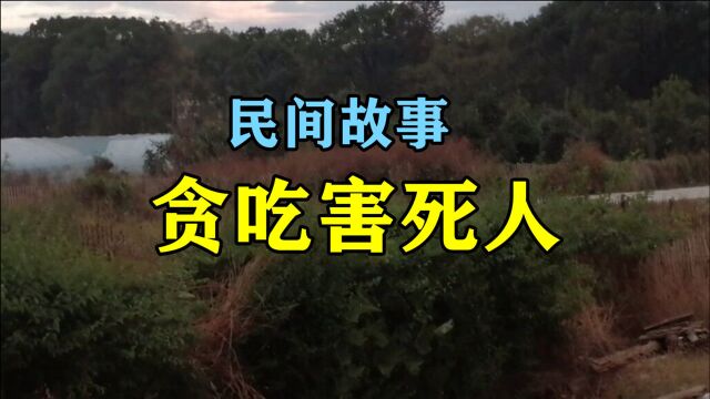 民间故事《贪吃害死人》杨远是新来的金州知府