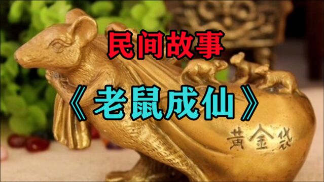 民间故事《老鼠成仙》张永乐多次考场失利