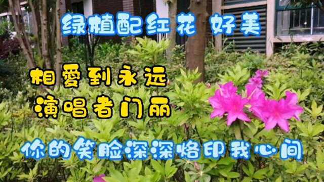 相爱到永远 门丽