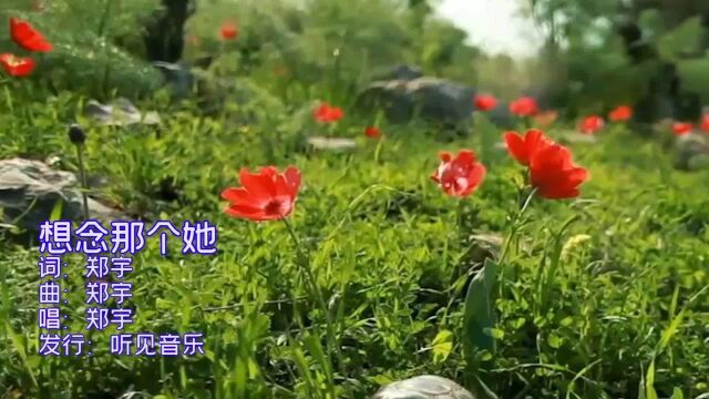 郑宇《想念那个她》mv饭制版