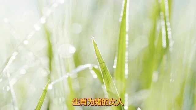 让男人无法抗拒的三个生肖女,单纯美丽,充满神秘感,自带女人味