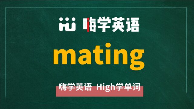 一分钟一词汇,小学、初中、高中英语单词五点讲解,单词mating你知道它是什么意思,可以怎么使用