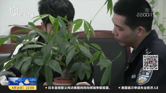 “裸聊”软件窃取通讯录 警方全链条打击敲诈团伙