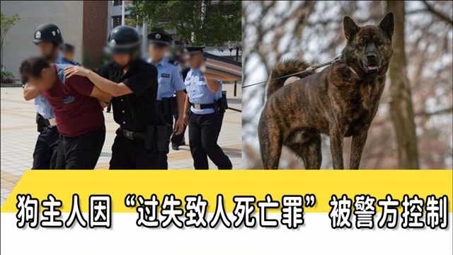 重庆小学生被狗咬死,法医鉴定来了!警方将狗主人控制