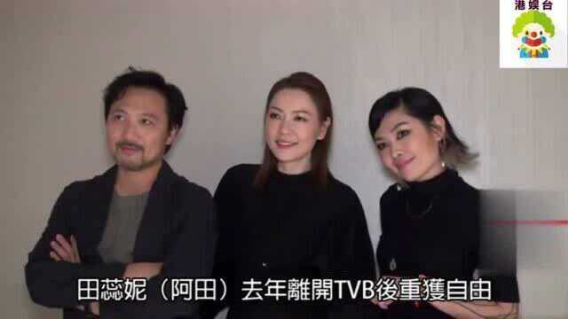 田蕊妮我根本不看TVB