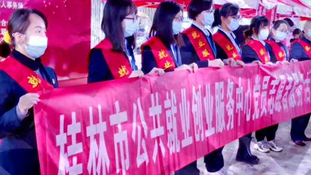 “职”在民企 “就”有未来2021年桂林市“民营企业招聘月”在兴安湘漓镇正式启动