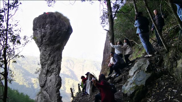 福建屏南深山发现巨大蘑菇石,每天几千人爬山来看,到底长什么样?