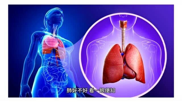 呼吸科医生透露:肺好不好,看一眼便知