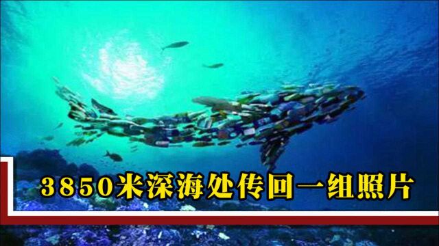 3850米深海处传回一组照片,海底真面目被中国揭开,警醒各国