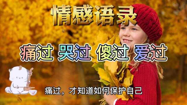 适合睡前看看的人生感悟,情感语录