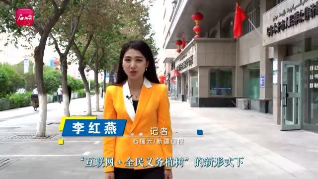 乌鲁木齐银行:绿色金融引领绿色环保