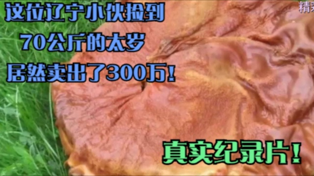 这位辽宁小伙捡到70公斤的太岁,居然卖出了300万!