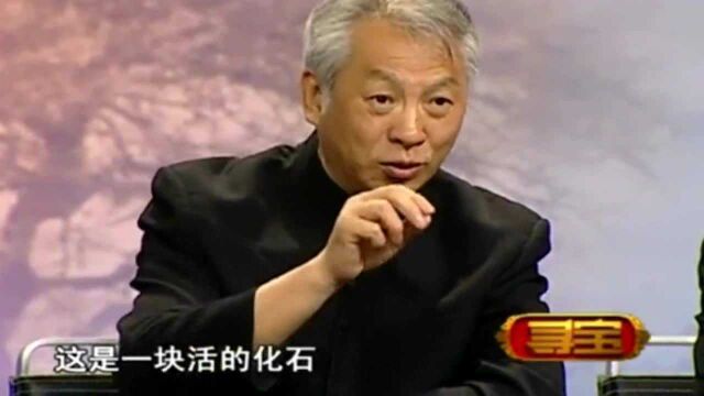 82岁老汉带来一本书找专家鉴定,专家:很罕见的,是一块活的化石