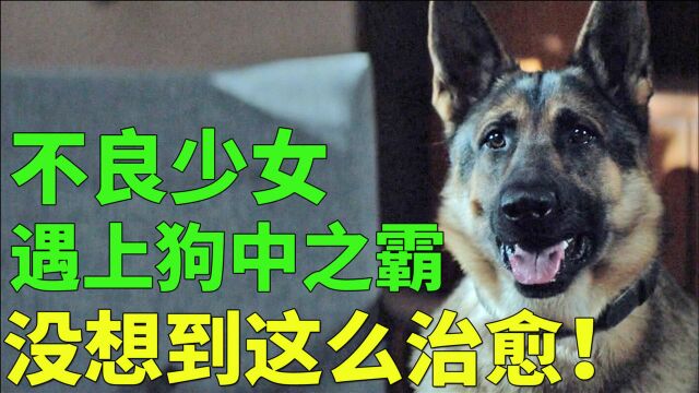 《战犬瑞克斯》:不良少女遇上狗中之霸,没想到这么治愈