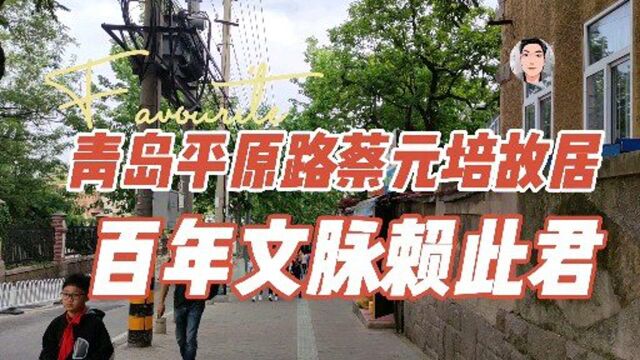 青岛平原路蔡元培故居,文化意蕴深厚的小院,岛城百年文脉的源流