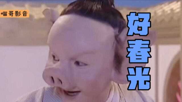 《好春光》不如梦一场,梦里青草香.听到这首歌在偷笑吗?