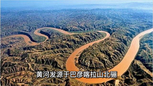 郑州国内首家河流博物馆,百万年前一颗牙,证实了河南叫豫的由来