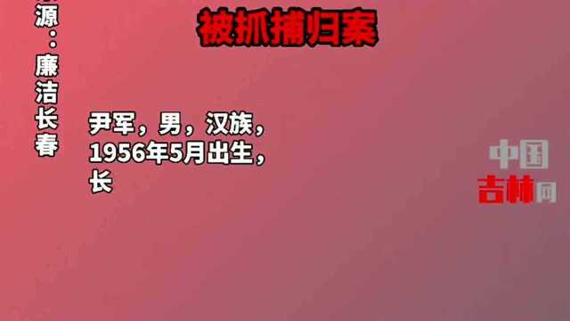 在逃22年的犯罪嫌疑人,长春市公安局二道区公安分局,原局长尹军被抓捕归案!