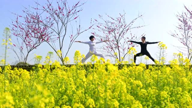 国际瑜伽日|“瑜”悦身心 魅力“伽”人