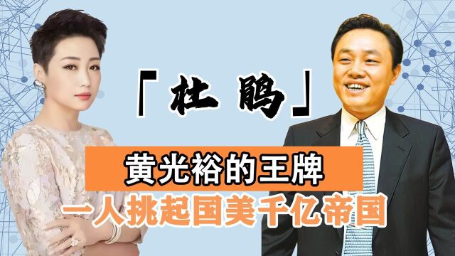 2年帮还8亿,一人挑起7百亿国美,助黄光裕登胡润排行榜第38名